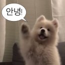 휴먼pc방 | [하츠베이커리] 샌드베이글, 버터떡 후기: 감동적인 맛에 사악한 가격! 나와 내 지갑이 함께 우는 맛!