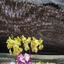 천호대로 213길 이미지