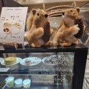 신기초등학교 앞 이미지