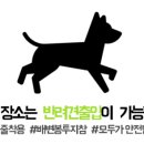 초입새 계곡 이미지