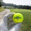 홀인원골프랜드 이미지