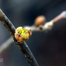 백련근린공원 이미지