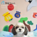 뽀미 애견 미용샵 이미지