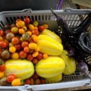 아침농장 이미지