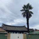 순천여행) 빌라오 숙소 후기 /국내에서 동남아 느끼기 / 여름휴가 숙소추천 / 풀빌라 추천