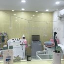 그루밍루나 이미지