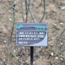 시온복권 네이버블로그