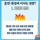 너담 이미지