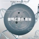 [셀엑소좀] 무엇인지? 효능(효과) 필요한 추천 대상은? 주의 사항