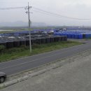 대천 태양광발전소 이미지