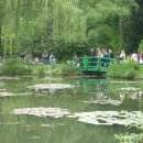 모네의 정원 이미지