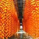 함안체육관 이미지