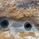 코아&2060 이미지