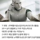 선미포차 이미지