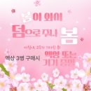 포그매직