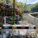 달꿈 오토캠핑장 이미지