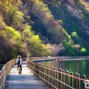 화천 산소길 자전거대여소 | 화천 산소 100리길 – 북한강 따라 달리는 숨 쉬는 힐링로드