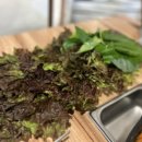 돈이최고야돈이 이미지