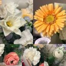 그리니드GREENEED | [대구 중구] 남산동꽃집 ‘ 그리니드 ’ 예쁜 축하 꽃다발 선물후기