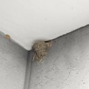 박씨축산 이미지