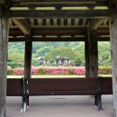 화가의방