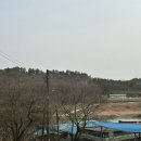섬진강메기매운탕전문점 이미지