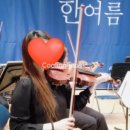 왕초보 바이올린 이미지