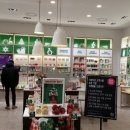 더바디샵대구