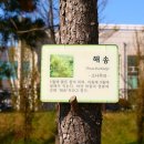 혜성관광 이미지