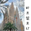 드디어 완공! 사그라다 파밀리아 성당, 박물관 셀프 투어, 오디오 가이드 이용방법