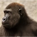 개운약국 이미지