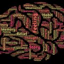 스쿨프렌즈 이미지