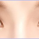 파크 블러썸 이미지