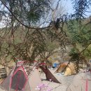 캠프오후4시 이미지