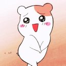 동수로120번길 이미지