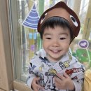 특별활동 오감 (물자라) 이미지