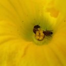 땅끝농장 이미지