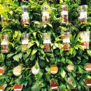 작은씨앗도서관 이미지