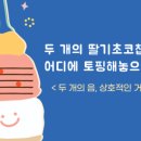 소안초등학교3 이미지