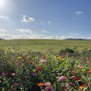 서해1농장 이미지