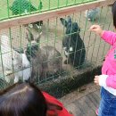 덕평공룡수목원 티스토리