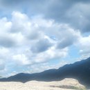 강아지랑고양이 이미지