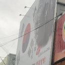 청둥이청둥오리 이미지