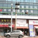 우리들동물병원 이미지