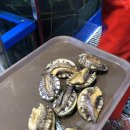 주아수산 이미지