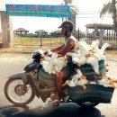 하승진보다 큰 사람 간접 체감.gif 이미지