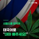예빼시 네이버블로그