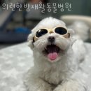 위런한방재활동물병원 이미지