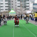 동삼1동-8 Daum카페