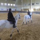 세계승마클럽 이미지